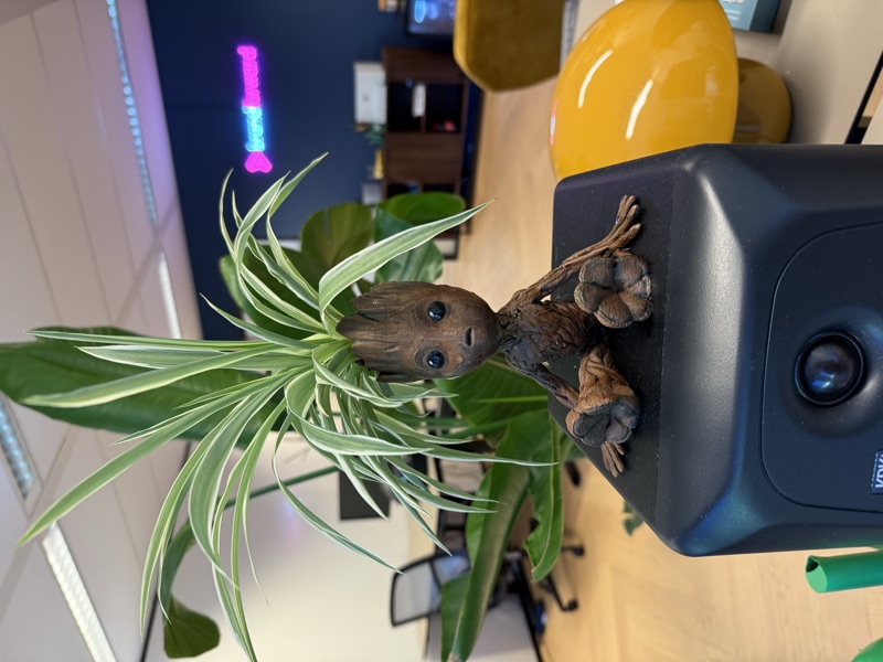 Brandforward projectbespreking