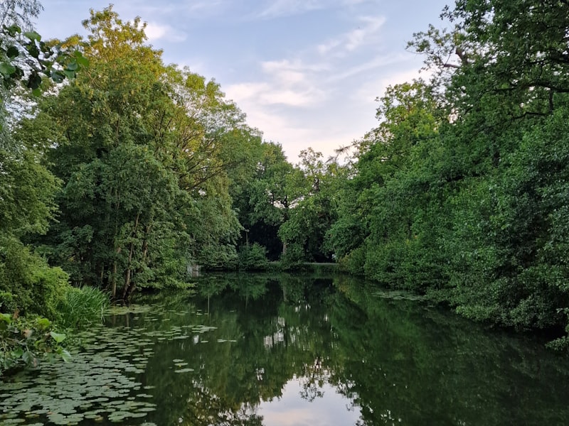 Natuur in Nieuwegein langs de Lek
