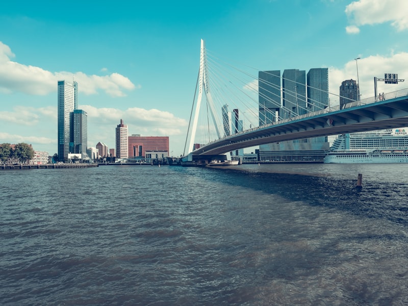 De Erasmusbrug in Rotterdam